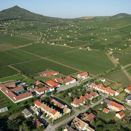 Tiffán's Pincészet és Panzió Hotel Villány Quarto foto