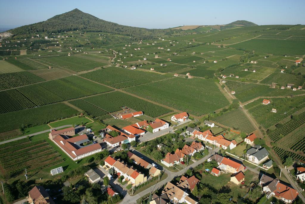 Tiffán's Pincészet és Panzió Hotel Villány Quarto foto