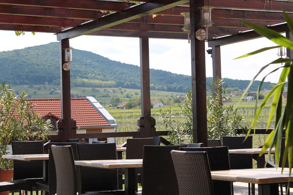Tiffán's Pincészet és Panzió Hotel Villány Exterior foto