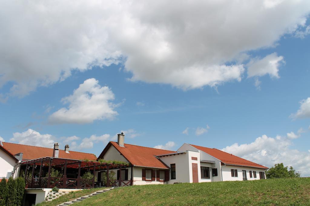 Tiffán's Pincészet és Panzió Hotel Villány Exterior foto